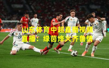 山东体育中超直播视频直播:绿茵烽火齐鲁情