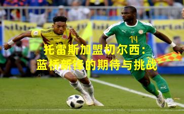 托雷斯加盟切尔西：蓝桥新锋的期待与挑战