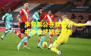 李霄鹏公开致歉，中国足球路在何方