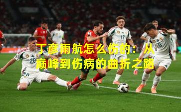 丁彦雨航怎么伤的:从巅峰到伤病的曲折之路