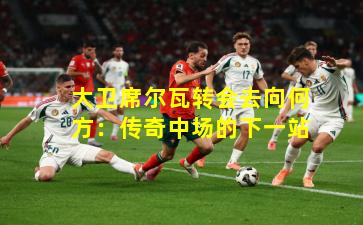 大卫席尔瓦转会去向何方:传奇中场的下一站