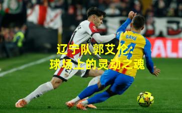 辽宁队郭艾伦：球场上的灵动之魂