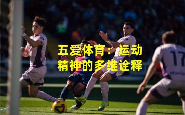 五爱体育：运动精神的多维诠释