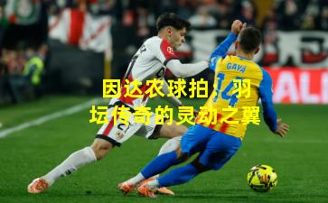 因达农球拍：羽坛传奇的灵动之翼